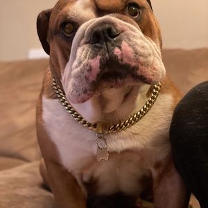 Meet your Posher, Corey